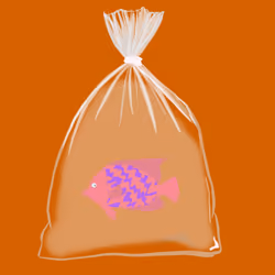 Feesh #1335
