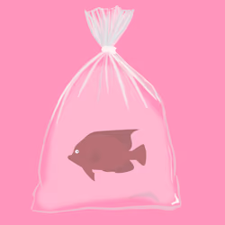 Feesh #230