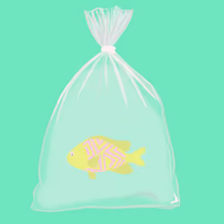 Feesh #4035