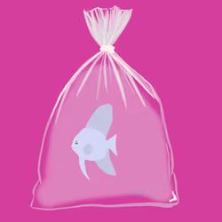 Feesh #1802 "CoDizzle"