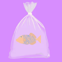 Feesh #3375 "Pep"