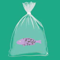 Feesh #989 "Zlatan"
