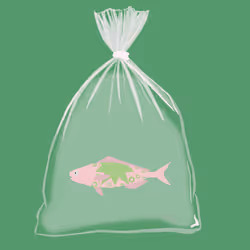 Feesh #511