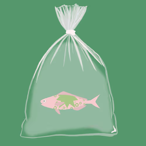 Feesh #511