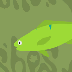 Feesh #2449 " Tasselled Wobbegong"