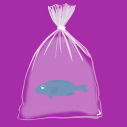 Feesh #299