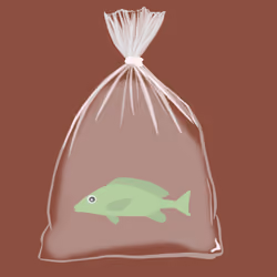 Feesh #2783