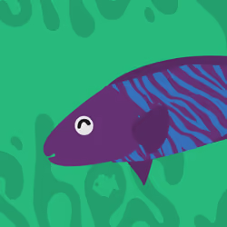 Feesh #4297