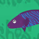 4297