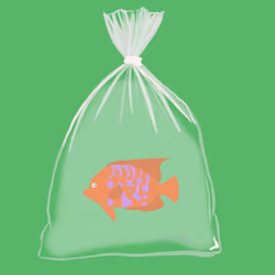 Feesh #358