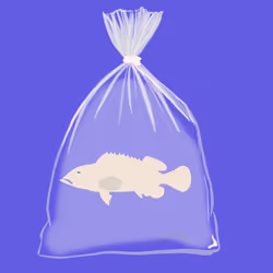 Feesh #1137 "Dorian "
