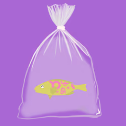 Feesh #2522