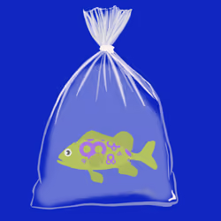 Feesh #1394