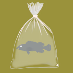 Feesh #622