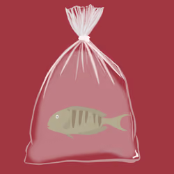 Feesh #1521