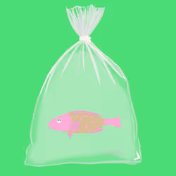 Feesh #4036