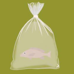 Feesh #3981