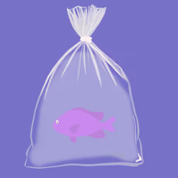 Feesh #229