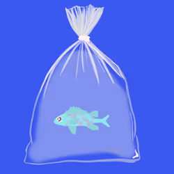 Feesh #1124