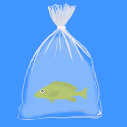 Feesh #1484