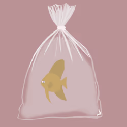 Feesh #3197