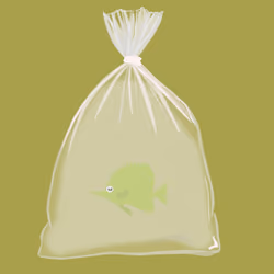 Feesh #3622 "GFin"