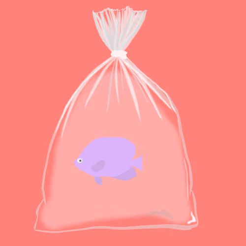 Item #636 Media