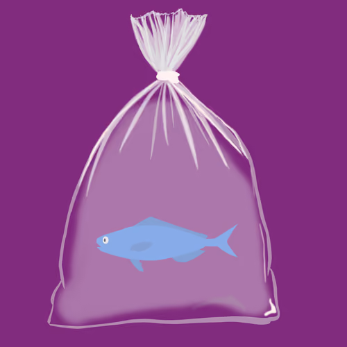 Feesh #1301 "Goober"
