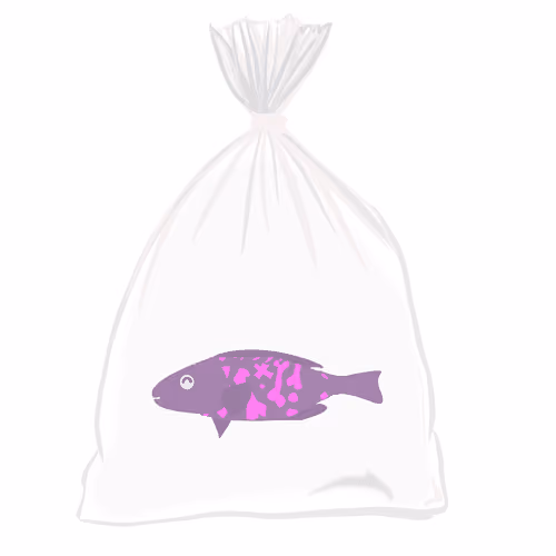 Feesh #429