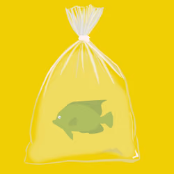 Feesh #1050 "Rita"