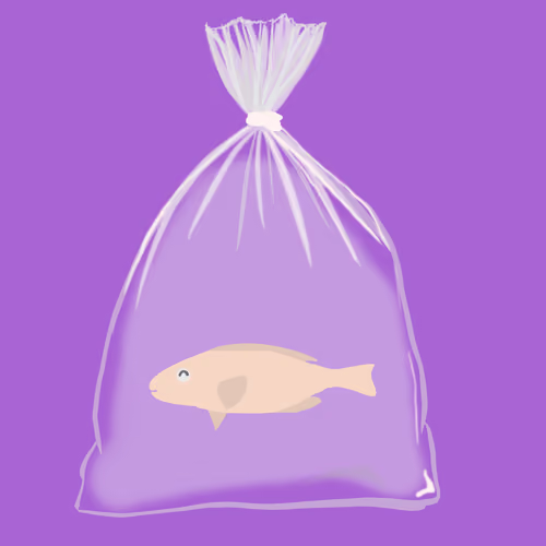 Feesh #481
