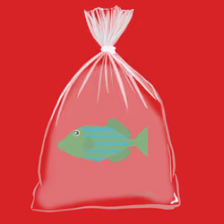 Feesh #331 "Baloo"