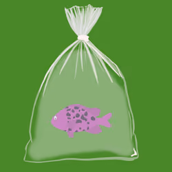 Feesh #1395