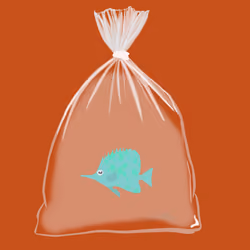 Feesh #1744
