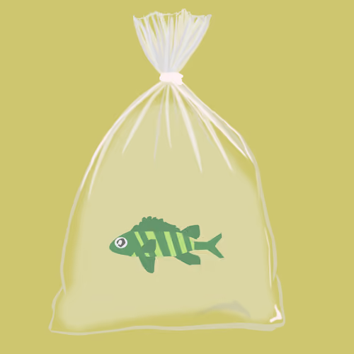 Feesh #1052 "StrokerAce"