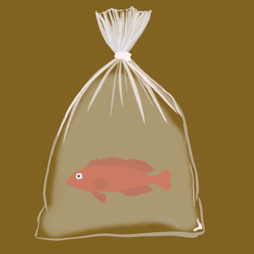 Feesh #2076 "MrFeeshburt Rocks"