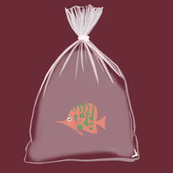 Feesh #1577