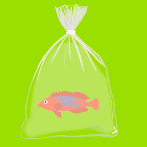 Feesh #745 "Charley "