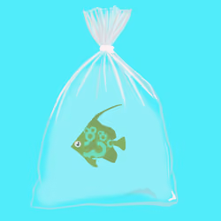 Feesh #3170
