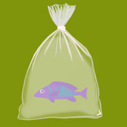 Feesh #3839