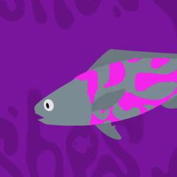 Feesh #3544