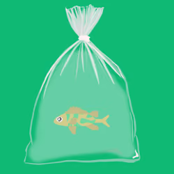 Feesh #1349
