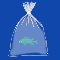 Feesh #202 "Rev Feesherton"
