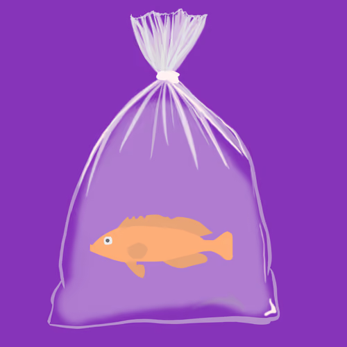 Feesh #2385 "Juice"