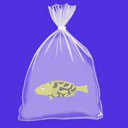 Feesh #3670