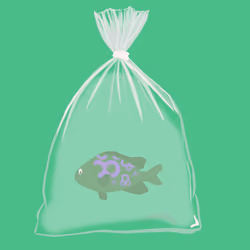 Feesh #1873