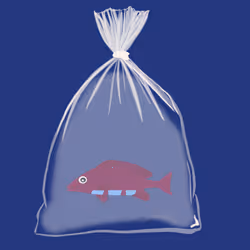 Feesh #2671