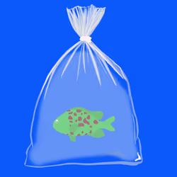 Feesh #3056 "Cricket"