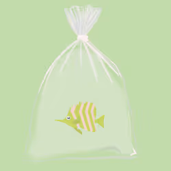 Feesh #259 "Emmanuel "