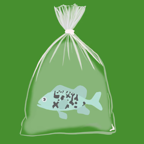 Feesh #2953